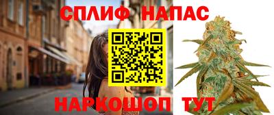 прущие грибы Малоярославец