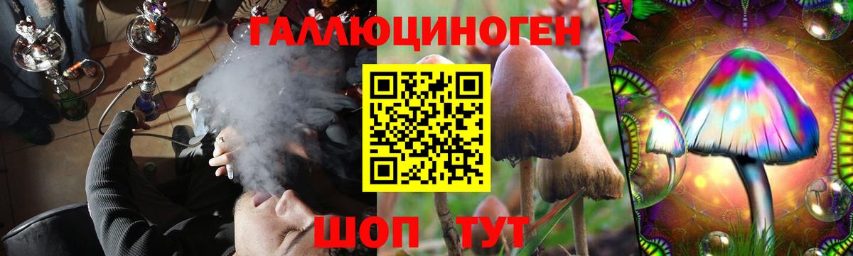 Галлюциногенные грибы Psilocybine cubensis Ульяновск